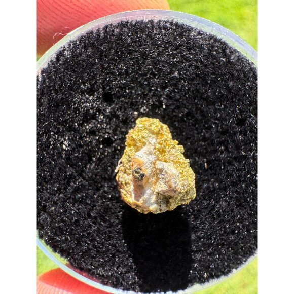 Gold on Quartz - California Native Gold Crystal -  0.65 grams - Picture 5 of 5